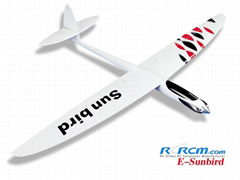 Hot Sunbird composite rc plane model