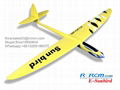 Hot Sunbird composite rc plane model 2
