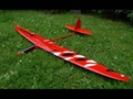 Hot Sunbird composite rc plane model 5