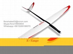 Tango 3m F3B rc airplane model