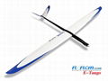 Tango 3m F3B rc airplane model 3