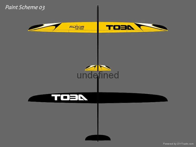 Toba 3m wingspan slope remote control glider 5