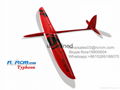 Typhoon composite remote control glider 2