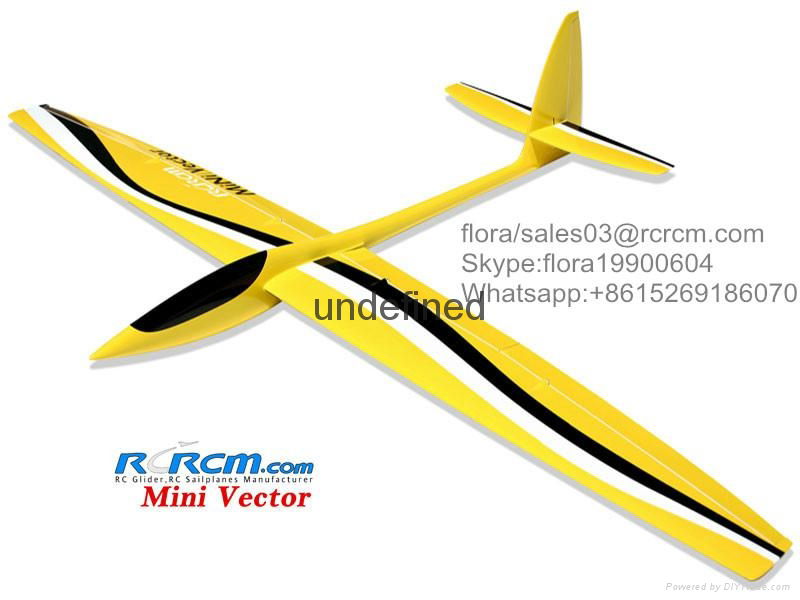 aerobatic rc glider