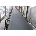 Common Flame Resistant Conveyor Belt 1