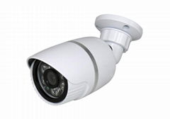 Factory Direct Sale Security WODSEE cctv camera ,H.265 Professional HD IP Camera