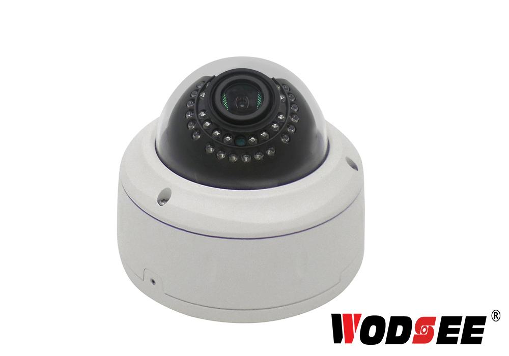 SD card recording ip dome camera 2MegaPixel 1080P Full HD Dome IP CCTV
