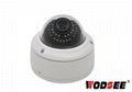 SD card recording ip dome camera