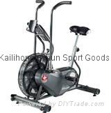 Schwinn AD6 Airdyne Upright Exercise Bike