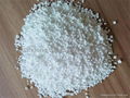 shopping food additives calcium chloride prills  4