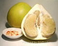 pomelo 1