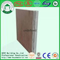 ECO-friendly EPS Light Weight EPS Cement Composite Sandwich Panel 1