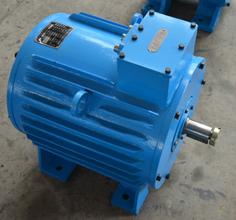 variable frequency AC electric motor for trolley locomotives made in China AC mo