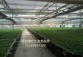 温室苗床网生产厂家河北普伦达 2