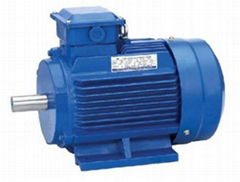 Y Series Three-Phase Asynchronous Motor