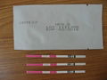 Urine Test Strip 3