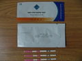 Urine Test Strip 4