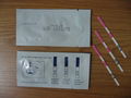 Urine Test Strip 5