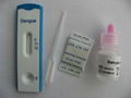 one step dengue igm/igg test test 1