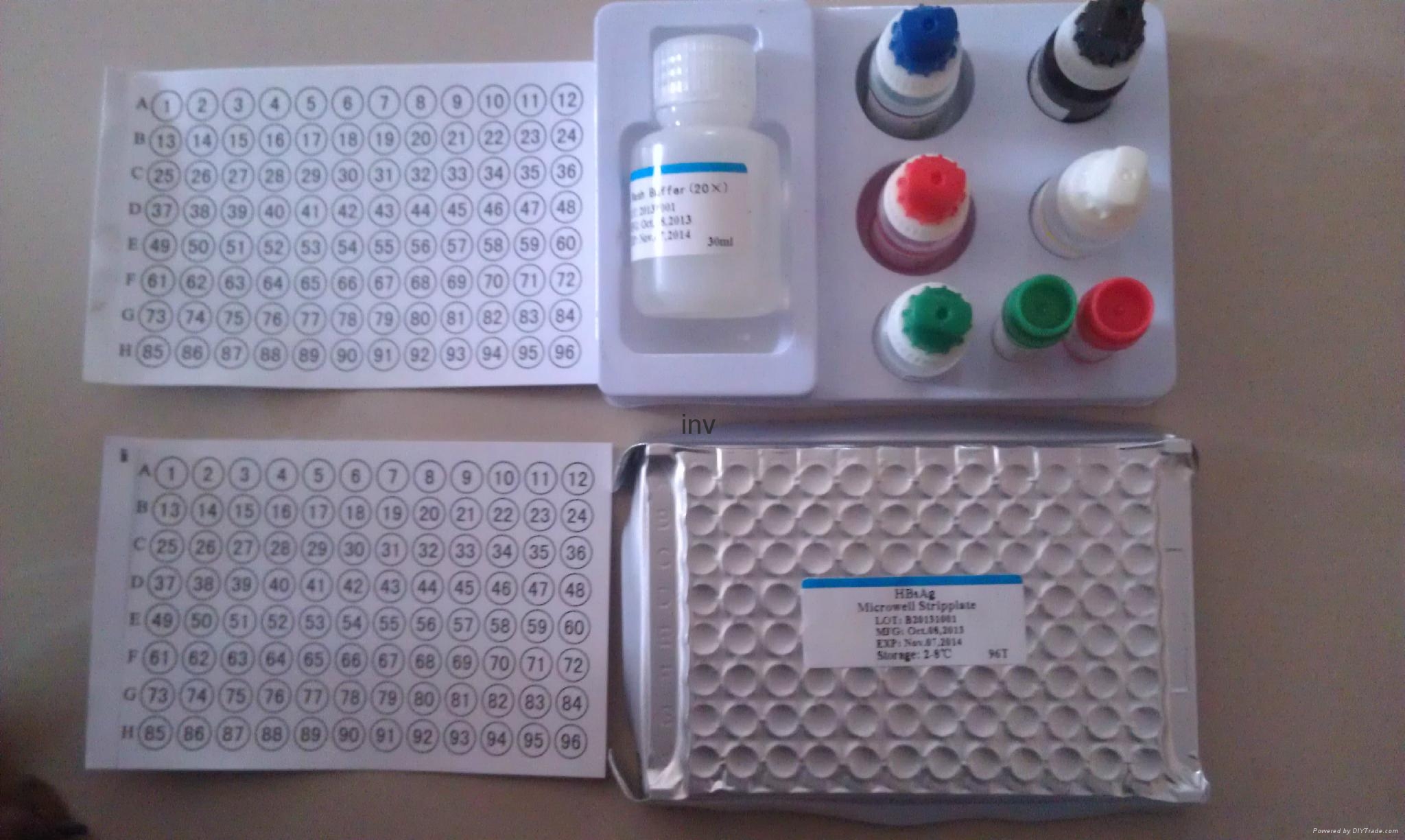 rapid test device blood group reagent hepatitis e virus elisa test kits
