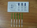 high accuracy human use rapid test kit ngh gonorrhea rapid test 2