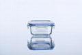 Fashionable square borosilicate glass food container 310ml 1