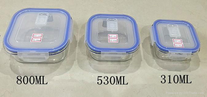 Fashionable square borosilicate glass food container 310ml 2