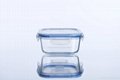 square borosilicate glass food container 530ml