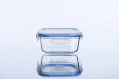 square borosilicate glass food container 530ml