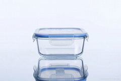 square borosilicate glass food container, 800ml