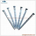 Galvanized outdoor camping steel ripple U shaped tent peg stake with good price