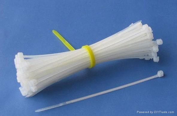 White Color Nylon Cable Tie HT-2.5*100mm Nylon66 2