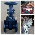 metal seated rising stem cast iron gate valve 