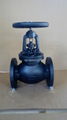 ANSI 125/150LB globe valve 3