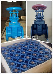  ANSI 125/150LB NRS gate valve