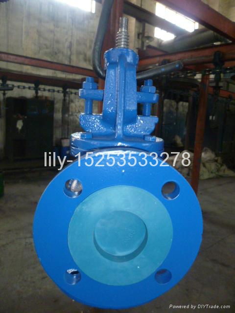 ANSI cast iron angle globe valve 2