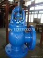 ANSI cast iron angle globe valve 4