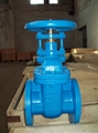 Flanged end Cast iron gate valve  4