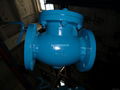 Iron Swing check valve