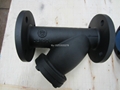 Y strainers 4