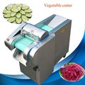 Fruit And Vegetable Processing Device 2