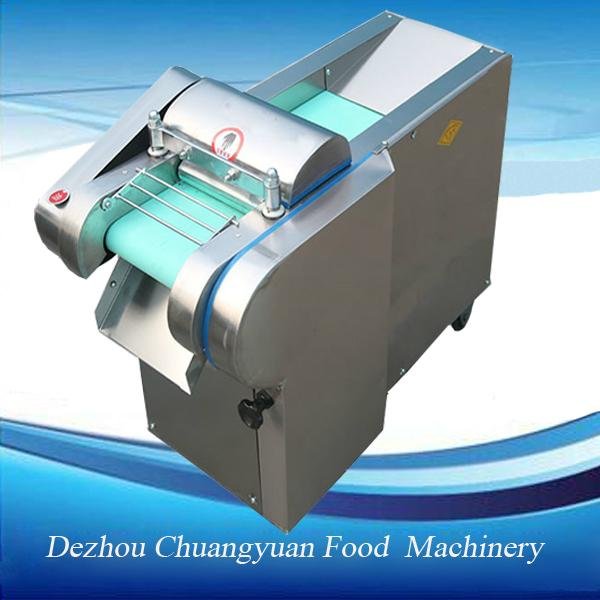 Fruit And Vegetable Processing Device 3