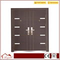 Security Double Steel Door