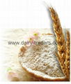 Bread Flour (type 650)