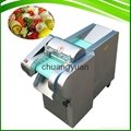 Best Price Factory supply fruit and vegetable cutting machine 2