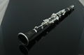 ABS clarinet 2