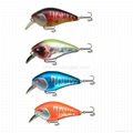 Hard Fishing Crankbait  Freshwater