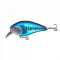 Hard Fishing Crankbait  Freshwater Saltwater Swimbaits kit   2