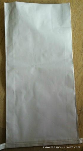 Paper-plastic bag 5