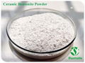 Ceramic white bentonite powder with high plastical  1